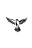 Falco